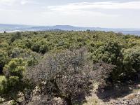 Plateau de Ganagobie  Vue générale du plateau depuis le rempart de Villevielle que nous verrons plus loin