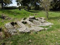 Plateau de Ganagobie  Tombes rupestres orientées (vers l'Est) avec une cavité pour la tête. Une seule dalle de couverture est encore sur le site