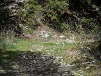 Plateau de Ganagobie  Vestiges de l'ancien accès au plateau et au monastère depuis la vallée de la Durance. Il reste une partie intacte avec sa calade