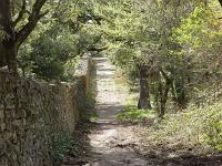 Plateau de Ganagobie  Mur des anciens jardins du monastère