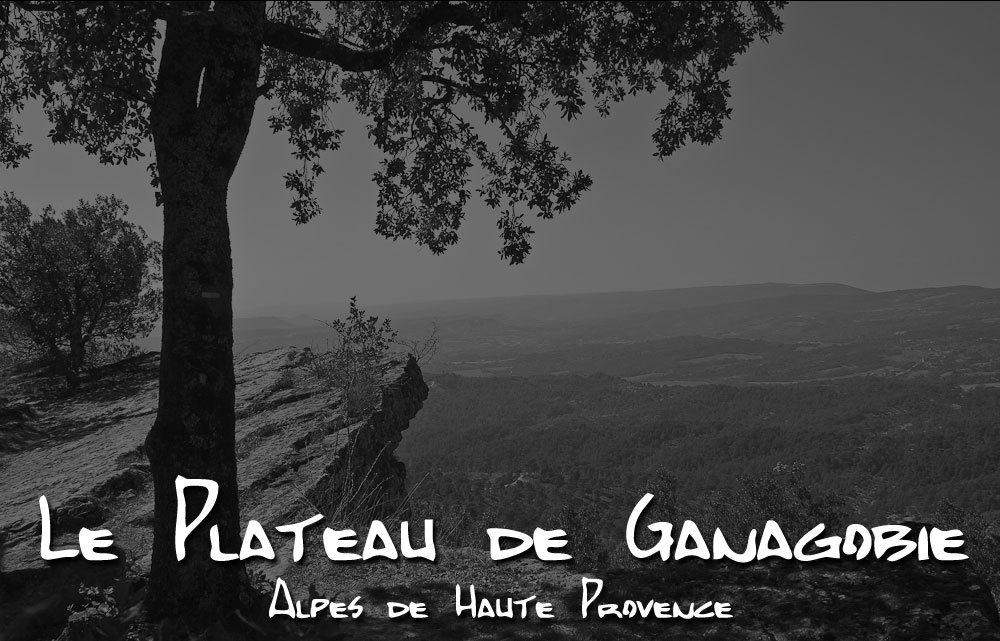 ganagobie-000.jpg - Le Plateau de Ganagobie (Alpes de Haute Provence)