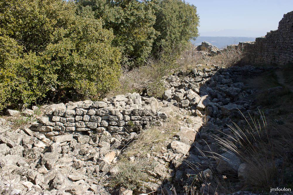 ganagobie-045-2.jpg - Dans ces bois se trouvent les ruines du village