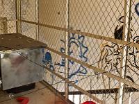 Hôpital Charle Romieu - Digne  Premier étage