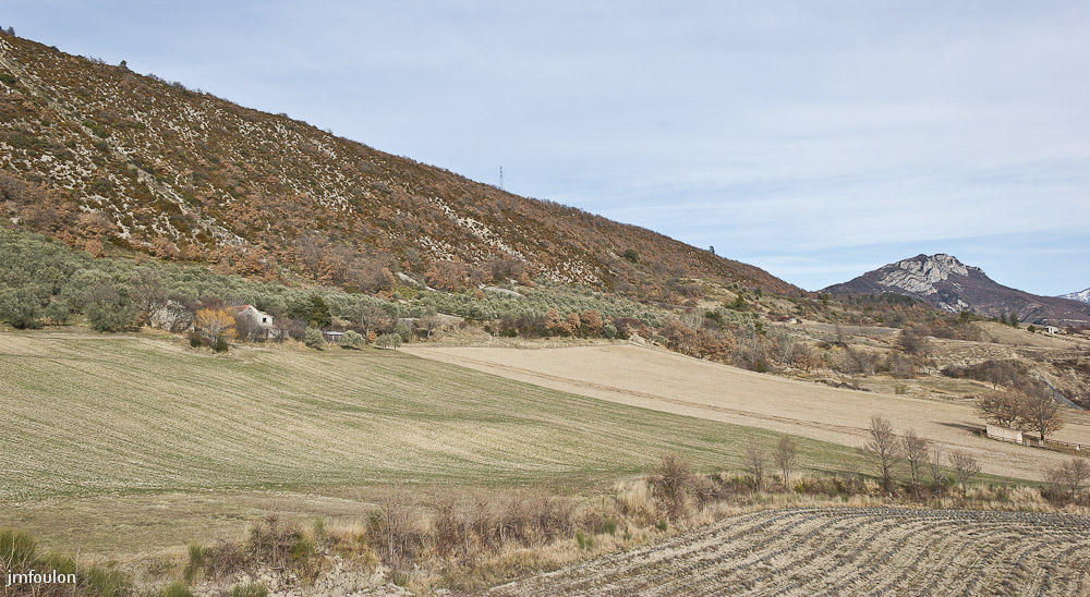 cabanon-01-2.jpg - Sisteron - Les Houlettes à l'adret du Molard. Oliviers, champs et  lavandes occupent le lieu aujourd'hui.