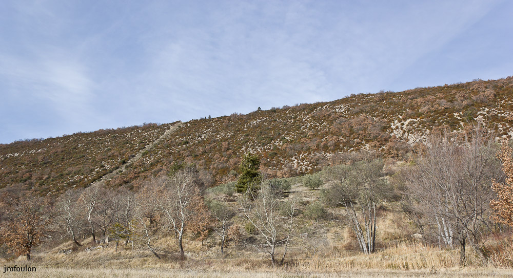 houlette-pays-001-2.jpg - Sisteron - Les Houlettes. Une partie de l'adret du Molard.