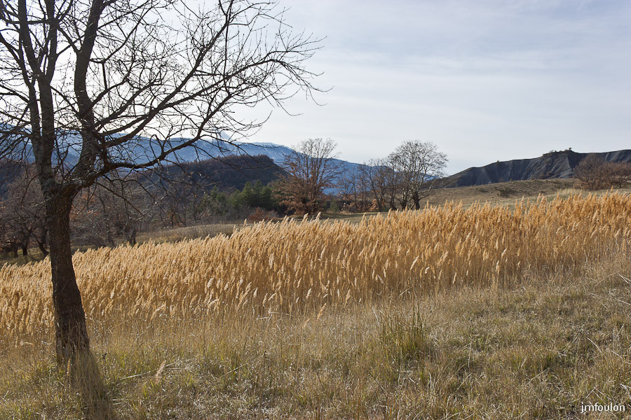houlette-pays-002-2.jpg - Sisteron - Les Houlettes. Roseaux à l'Est des Houlettes. Au second plan de gauche à droite: Pierre Avon et la crête marneuse de Plantayes. Au loin, Lure ...