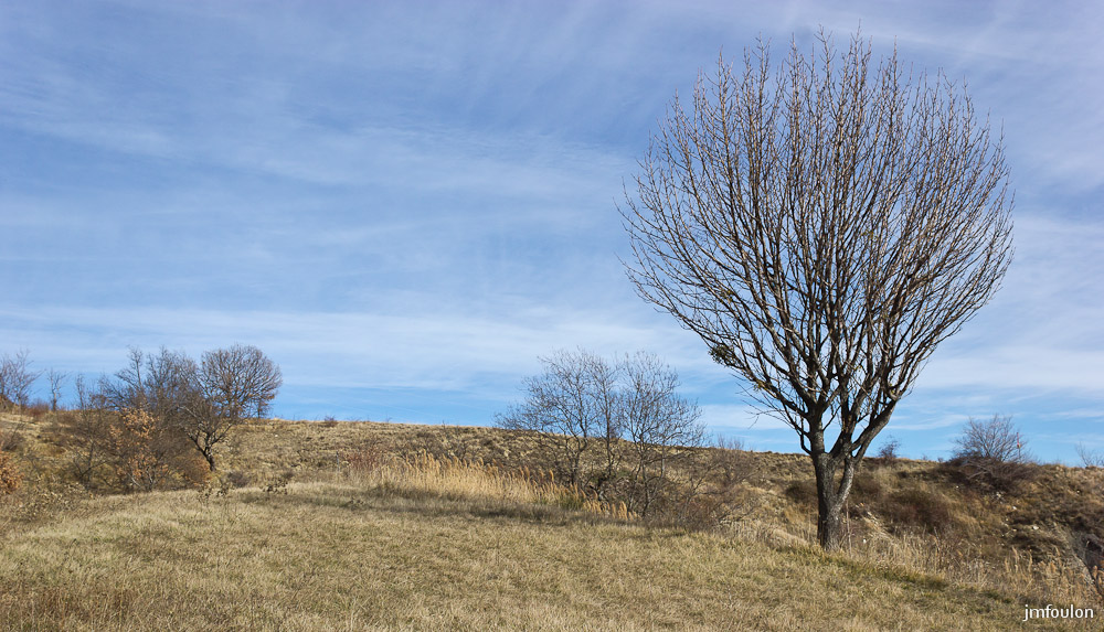 houlette-pays-003-2.jpg - Ambiance hivernale aux Houlettes.