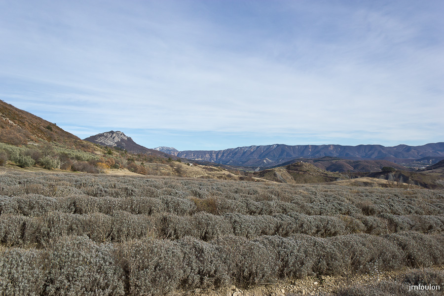 houlette-pays-005-2.jpg - Champs de lavande vers Bois de Buche.