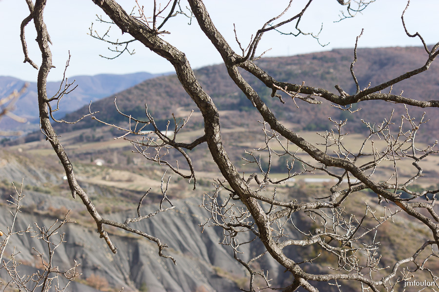 houlette-pays-009-2.jpg - Mongervis et Chauffe-Piasses derrière les branches d'un chêne.