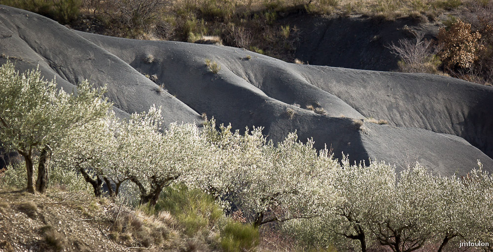 houlette-pays-014-2.jpg - Marnes et Oliviers entre les Houlettes et les Eygatières