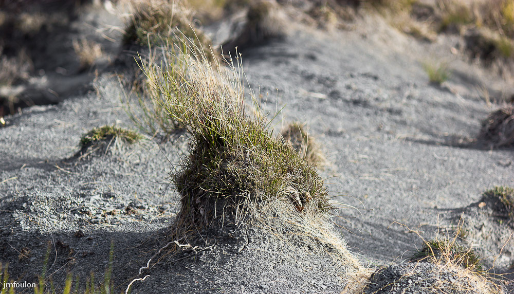 houlette-pays-018-2.jpg - Marnes et Oliviers entre les Houlettes et les Eygatières