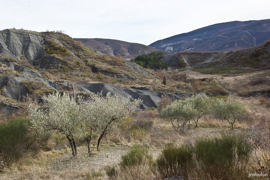 houlette-pays-020-2.jpg - Marnes et Oliviers entre les Houlettes et les Eygatières