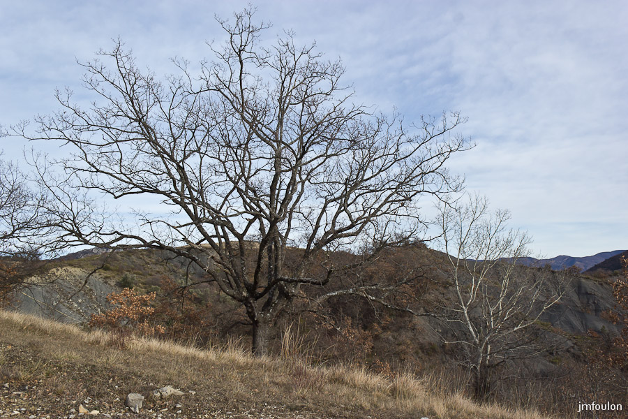 houlette-pays-024-2.jpg - Ambiance hivernale aux Houlettes.
