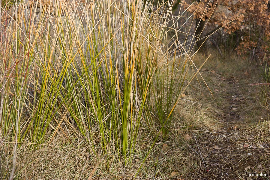 houlette-pays-028-2.jpg - Sur le sentier ...