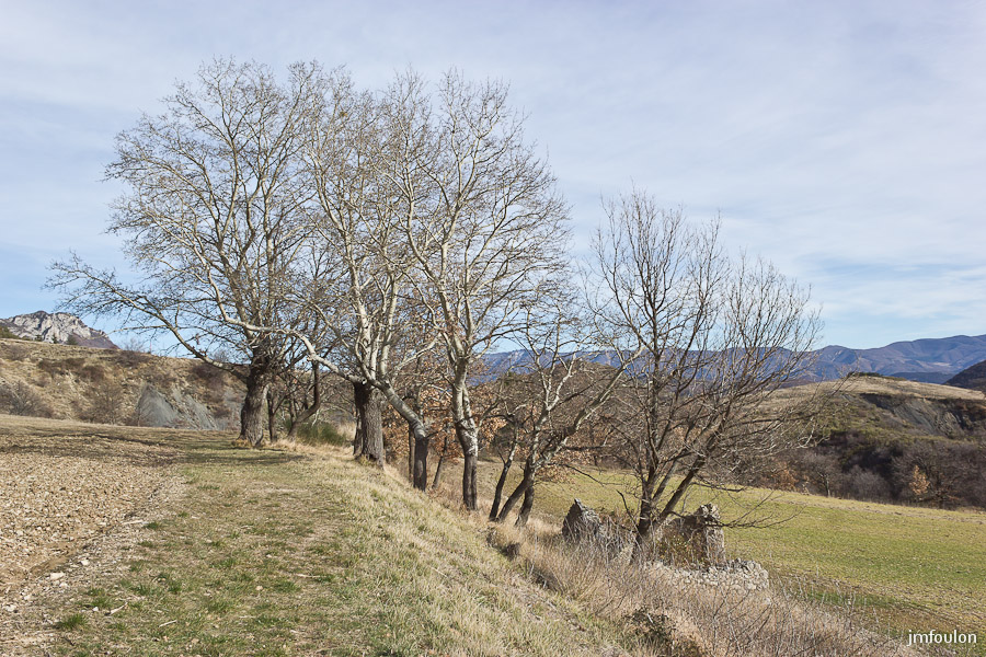 ruine-3-2.jpg - Cabanon en ruine aux Houlettes.