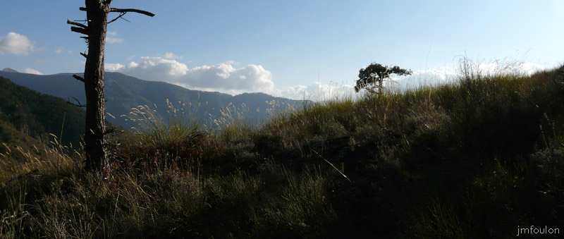 astoin-19web.jpg - Nous arrivons au sommet de la butte. Au loin, la montagne de Val-Haut (1708 m)