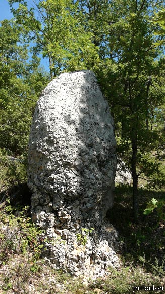 bastide-monges-31web.jpg - D'ailleurs, certaines de ces pierres ressemblent à des menhirs