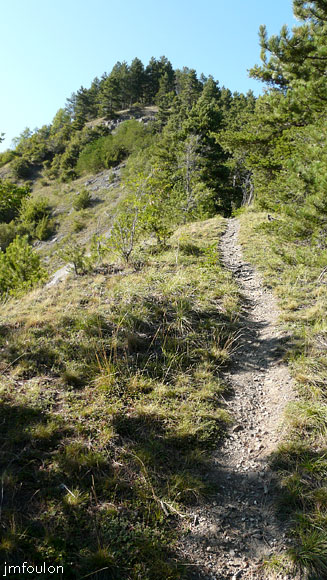 chateau-venterol-01web.jpg - Le sentier qui mène aux  ruines du château de Venterol qui se trouvent la haut enfouies dans les pins