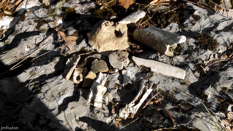 clamensane-tombes-19web.jpg - Une phalange, un morceau de bassin, des os crâniens et  de membres. Paix à son Âme !