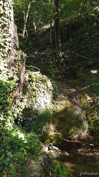 faucon-27web.jpg - Nous allons maintenant monter sur la butte castrale. Pour cela il faut se rendre au bout de village à l'Est et prendre un chemin balisé en jaune qui par plein Nord en longeant un ru