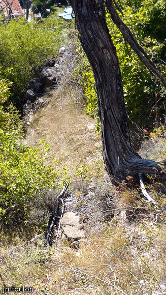 faucon-32web.jpg - Il reste néanmoins au Sud, à l'Ouest et à l'Est quelques vestiges des murs qui délimitaient l'emplacement plat du castellum. Ici les vestiges au Sud