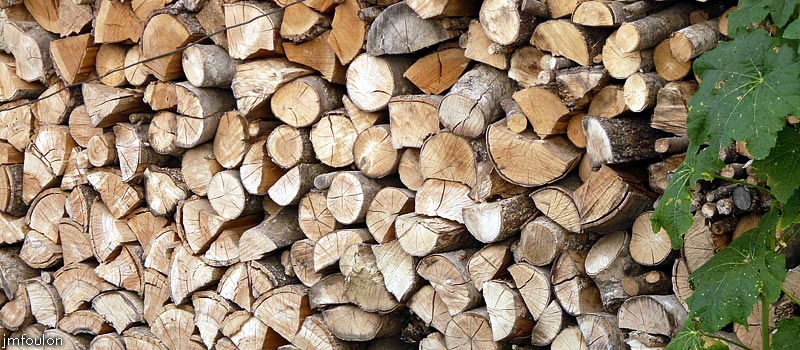 gigors-23web.jpg - Chêne bien sec prêt pour l'hiver