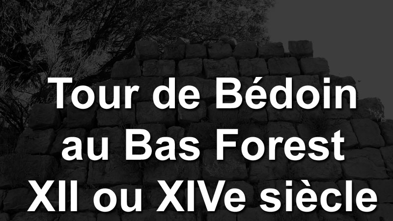 tour-bedoin-00web.jpg - Tour de guet de Bédoin au Bas Forest, hameau se trouvant à environ 350m du hameau de Forest-Lacour, commune de Bayons qui se trouve quand à elle, à environ 1,8 Km plus à l'Est