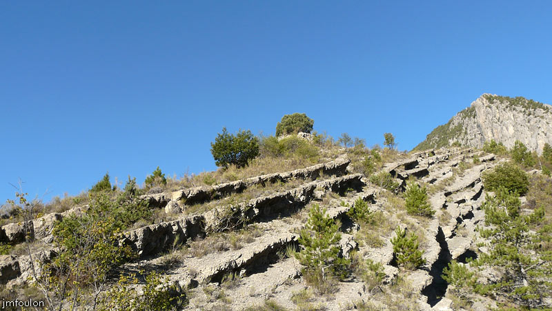 tour-bedoin-19web.jpg - La tour vue depuis l'Est du hameau de  Bas-Forest