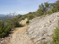 Lurs Notre Dame de Vie  Le chemin très ancien qui file vers le Nord
