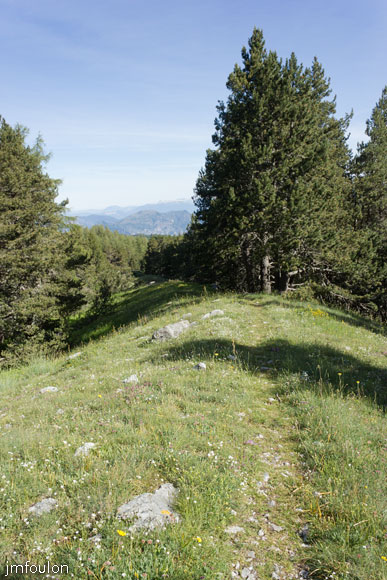 les_monges-012web.jpg - Nous venons du fond la-bas. Ici on chemine sur une petite crête herbeuse avant de retourner en sous-bois