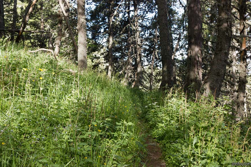 les_monges-013web.jpg - Le sentier en sous-bois