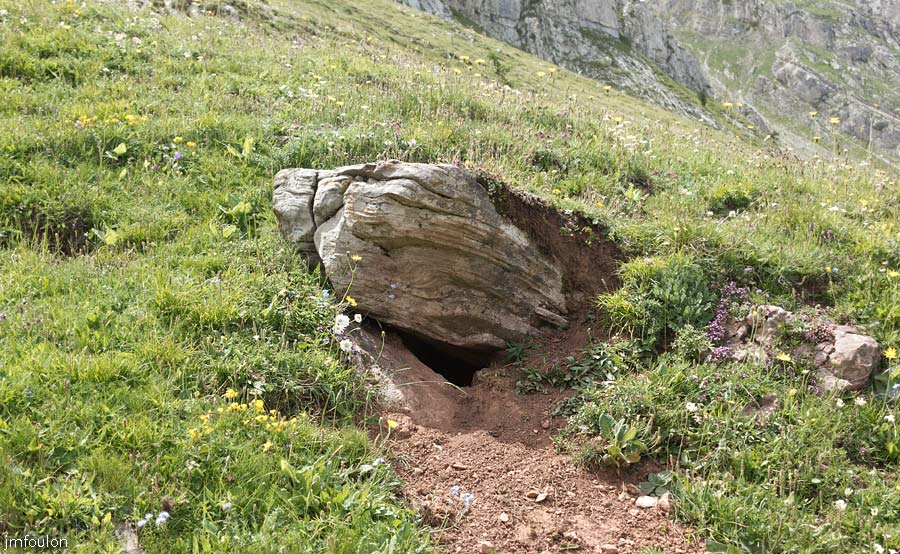 les_monges-077web.jpg - Terrier de marmotte. Je n'en ai vu furtivement qu'une seule. Discrètes cette année !