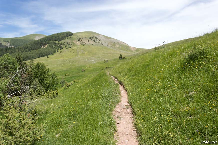 les_monges-086web.jpg - Le sentier au début des alpages (vue à contresens de la marche)