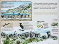 Les Mourres - Forcalquier