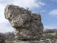 Les Mourres - Forcalquier