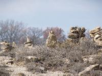 Les Mourres - Forcalquier