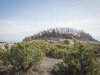 Les Mourres - Forcalquier