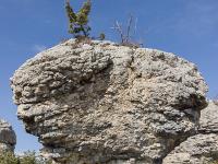 Les Mourres - Forcalquier