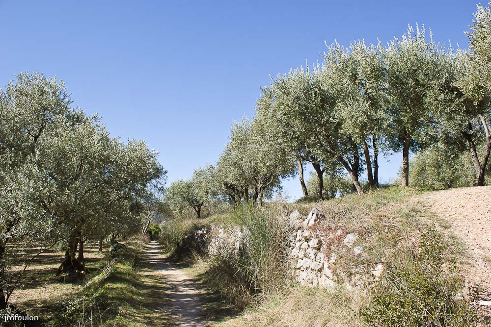 moustier-005.jpg - Sentier du Riou, au Nord de Moustiers. Ici on chemine dans les oliviers