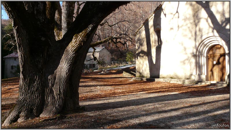 nd-lure-09web.jpg - Ce tilleul est énorme. Plusieurs mètres de diamétre !