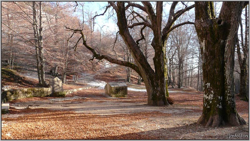 nd-lure-27web.jpg - Vue sur l'esplanade devant l'Abbaye. Nous sommes ici dans une immense forêt de fayards (hêtres). Le petit cabanon est le captage d'une source qui coule ici depuis toujours