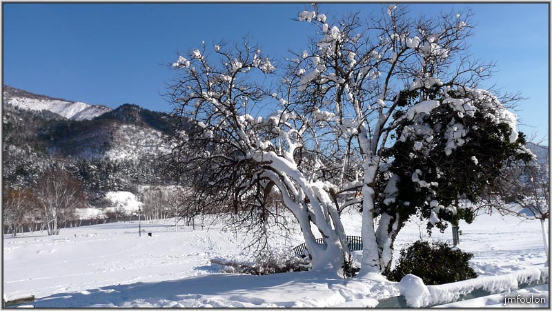 neige-11-1-2010-07.jpg - Arbres au Plan d'Eau