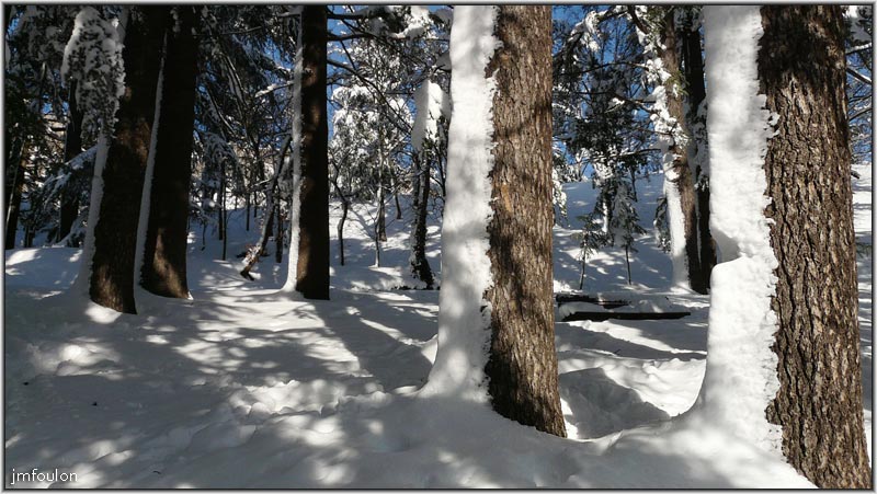 neige-11-1-2010-36.jpg - Bois de Cèdres au pied de la citadelle
