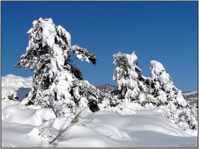 neige-11-1-2010-42.jpg - Paysage figé par la neige au Collet