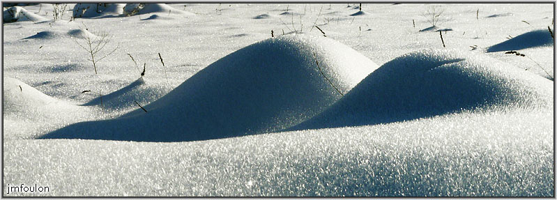 neige-11-1-2010-49.jpg - Evocateur n'est ce pas ? ...