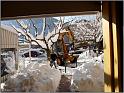 neige-11-1-2010-20