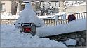 neige-11-1-2010-24