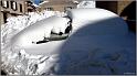 neige-11-1-2010-25