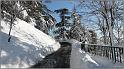 neige-11-1-2010-35