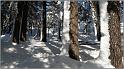 neige-11-1-2010-36